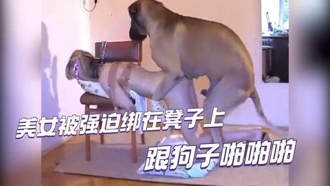 1-2高清看美女第一次被绑在椅子上和狗干第二次主动求干