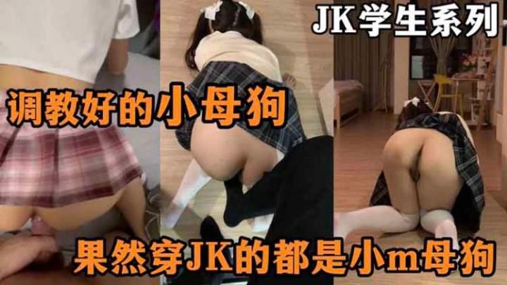 JK母狗果然喜欢穿JK的都是小母狗