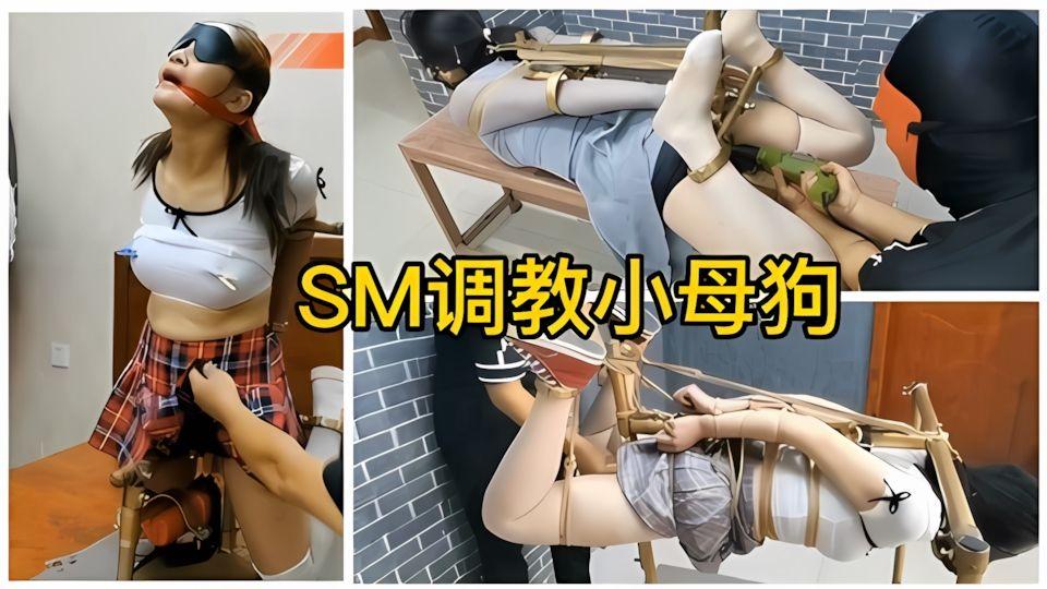 sm固定调教