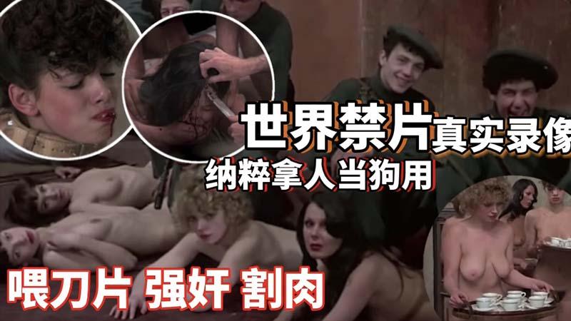 世界禁片二战纳粹拿人当狗用_喂刀片强奸割肉_圈养性奴_高清复原_暗网流出