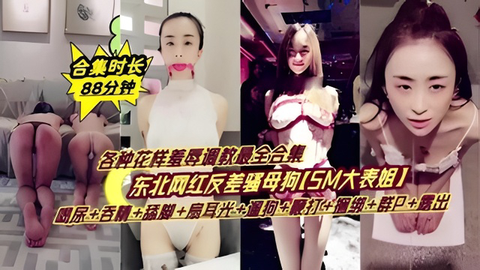 东北网红反差婊调教合集