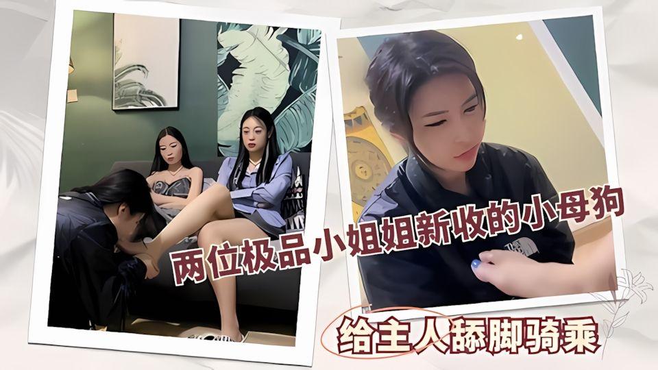两位极品小姐姐新收的小母狗给主人舔脚骑乘
