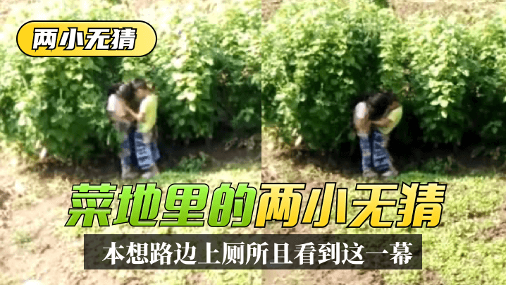 两小无猜本想路边上厕所没想到一抬头菜地里看到这一幕