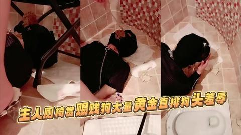 主人厕椅赏赐贱狗大量黄金直排狗头羞辱