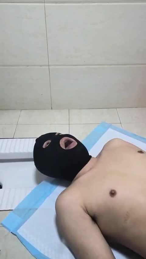 主人的恩赐