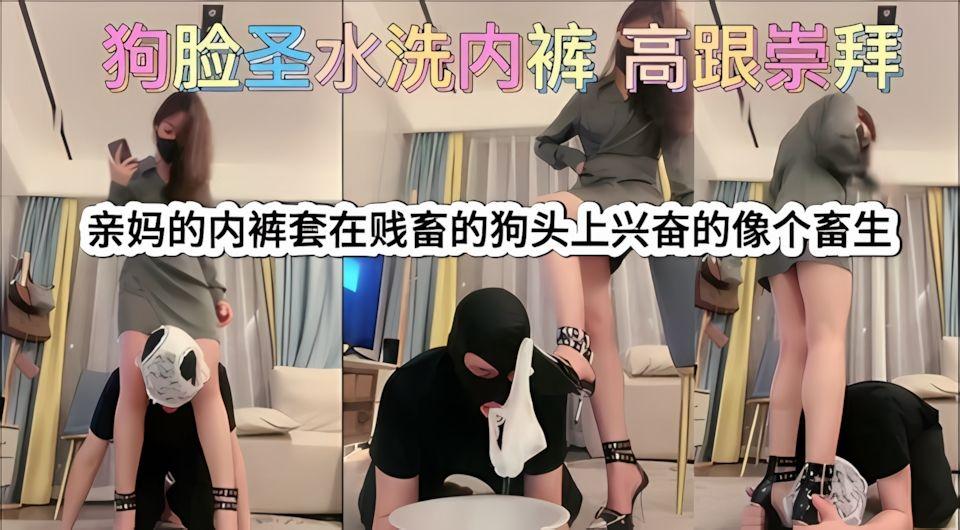 亲妈的内裤套在贱畜的狗头上兴奋的像个畜生