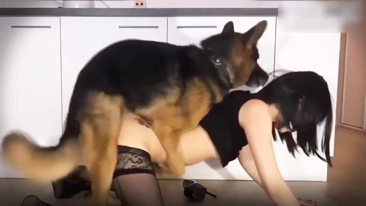 人兽在俄罗斯留学的女学生配合拍狗片玩儿疯了这是