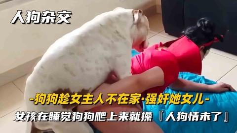 人狗杂交狗狗趁女主人不在家色狗发情嗷嗷大叫把她女儿给操了