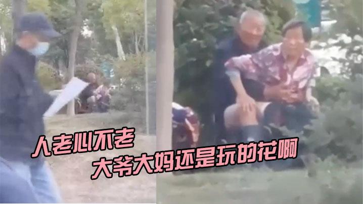 人老心不老大爷大妈还是玩的花啊