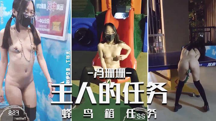 冯珊珊_主人的任务_蜂鸟箱任务