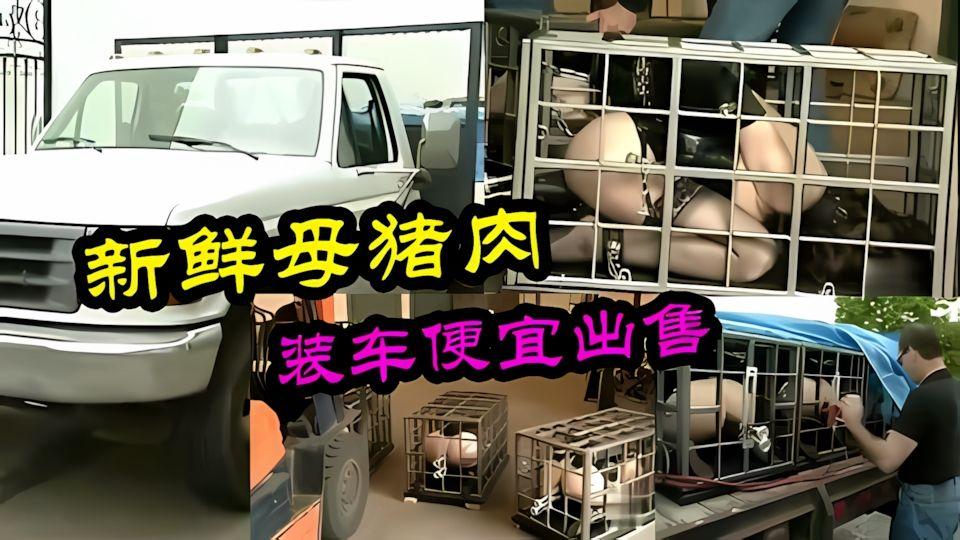 刚捕抓一窝母猪封装好发车便宜出售