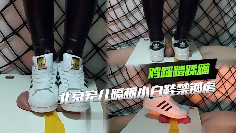 北京宠儿隔板小白鞋禁锢虐鸡踩踏蹂躏