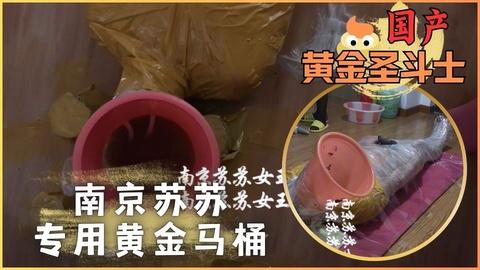 南京苏苏专用黄金马桶
