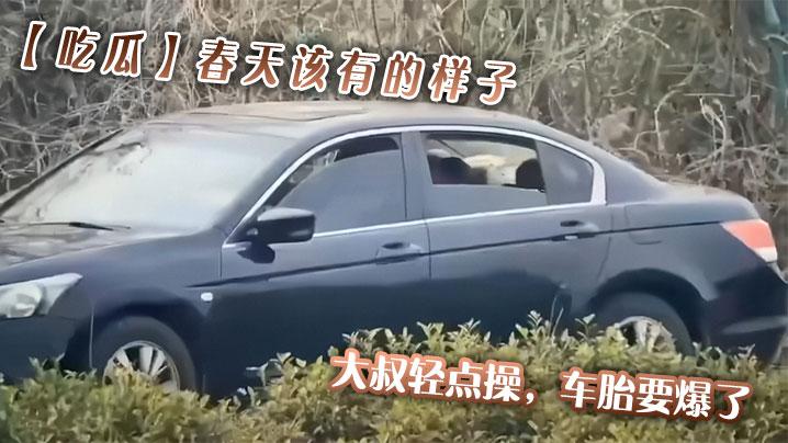 吃瓜春天该有的样子大叔轻点操车胎要爆了