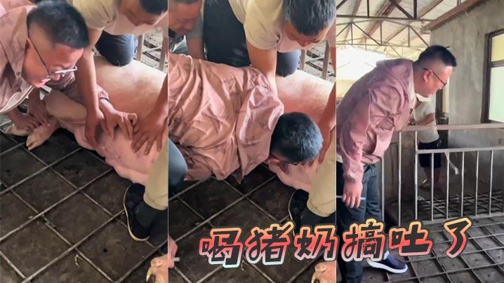 喝猪奶搞吐了