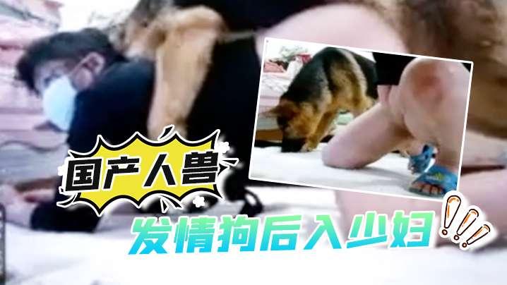 国产人兽发情狗后入少妇还自拍视频