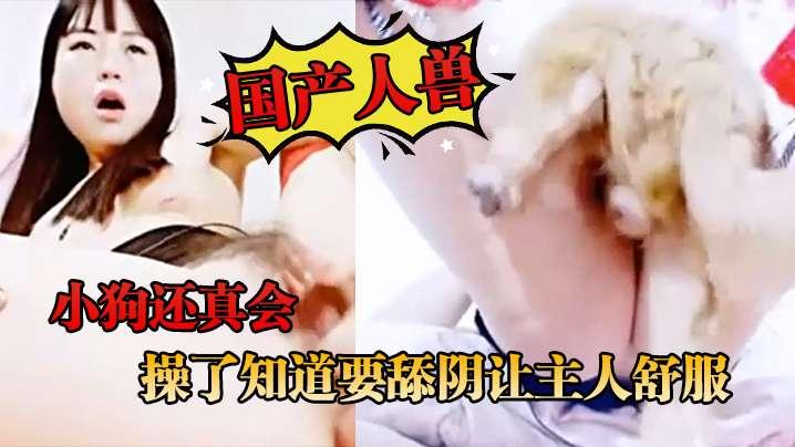 国产人兽小狗还真会操了知道要舔阴让主人舒服