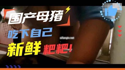 国产母猪吃下自己新鲜的粑粑