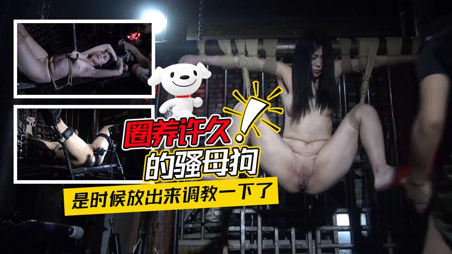 圈养许久的骚母狗是时候放出来调教一下了