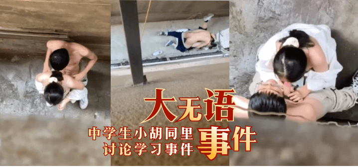 大无语事件中学生小胡同里讨论学习事件