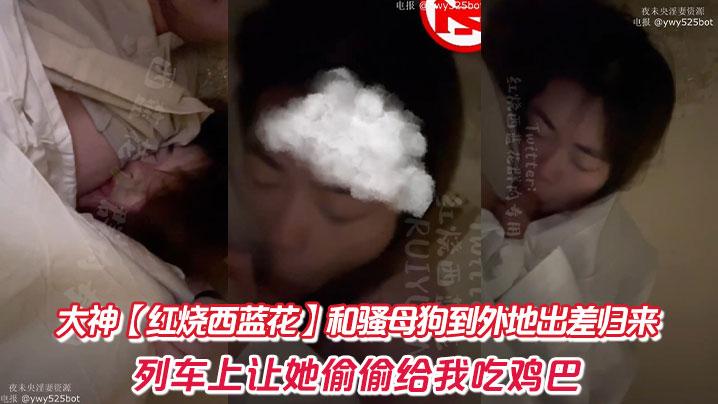 大神红烧西蓝花和骚母狗到外地出差归来列车上让她偷偷给我吃鸡巴