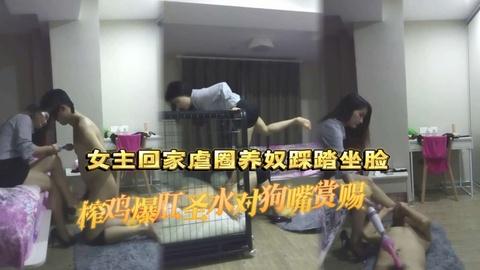 女主回家虐圈养奴踩踏坐脸榨鸡爆肛圣水对狗嘴赏赐