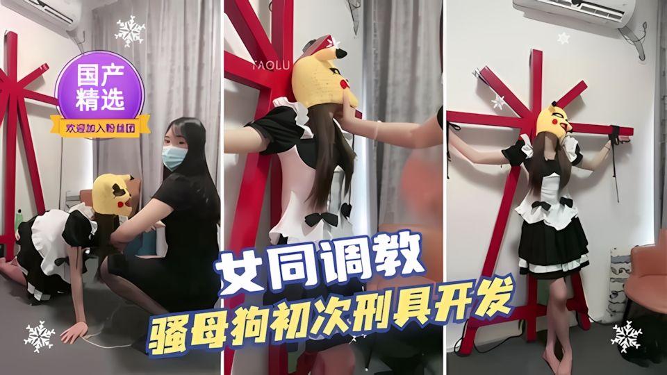 女同调教国产精选骚母狗初次刑具开发