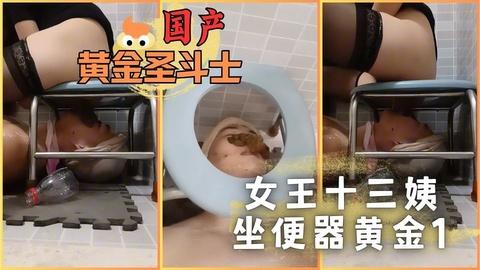 女王十三姨坐便器黄金