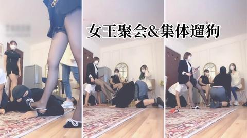 女王聚会集体遛狗大场面
