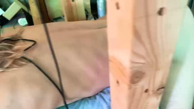 女王调教1