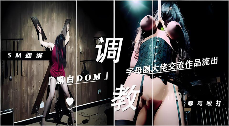 字母圈大佬流出极限调教反差母狗