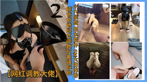 小穴尿壶圣水茶杯sm大佬抹香鲸爸爸地狱式调教骚母狗