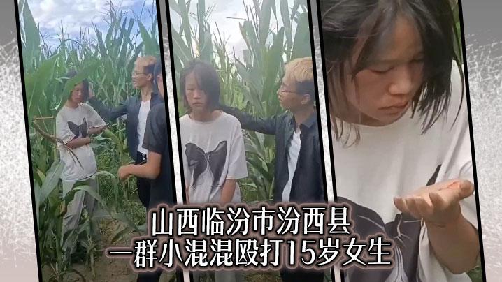 山西临汾市汾西县一群小混混殴打15岁女生