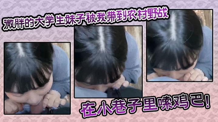 微胖的大学生妹子被我带到农村野战在小巷子里嗦鸡巴