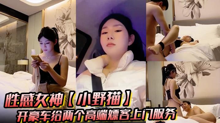 性感女神小野猫开豪车给两个高端嫖客上门服务猥琐大叔喜欢玩SM帅哥还算正常吹箫热身啪啪