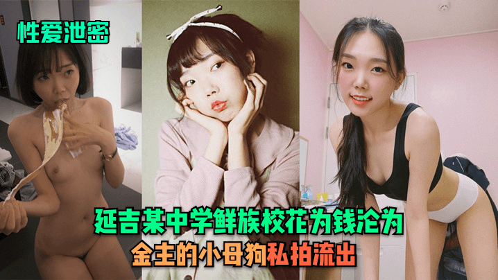 性爱泄密延吉某中学《鲜族校花》为钱沦为金主的小母狗私拍流出