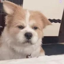 户外强奸多种场合多人轮奸各种美少女大合集