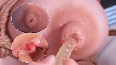 把奶头切开看看里面满满的肥猪肉