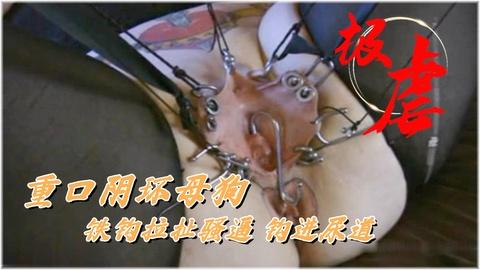 折磨烂逼母狗捆绑拉扯阴环铁钩抽插尿道