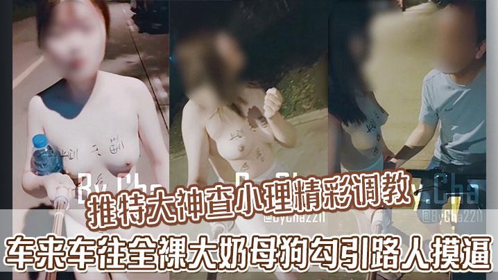推特大神查小理精彩调教车来车往全裸大奶母狗勾引路人摸逼