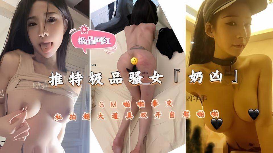 推特极品骚奶凶SM啪啪拳交私拍超道具双开慰