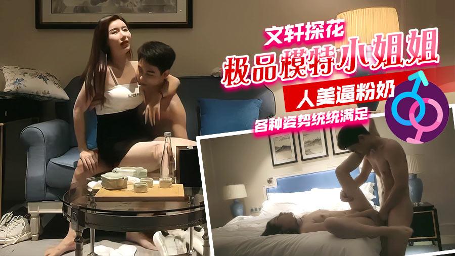 文轩探花极品模特小姐姐人美逼粉奶各种姿势统统满足