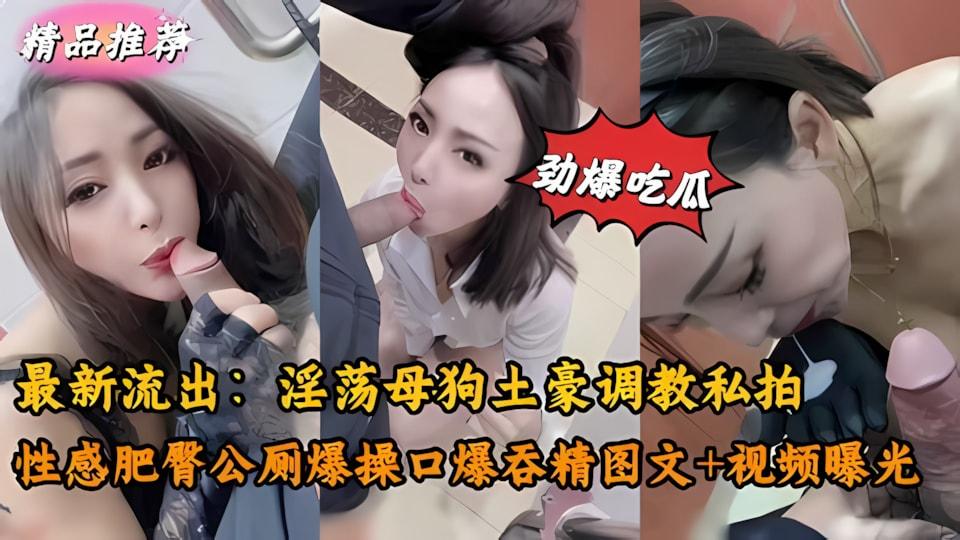 最新流出淫荡母狗被土豪公厕调教爆操私拍流出