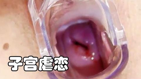 来带你探索敌人阵营的欧米伽