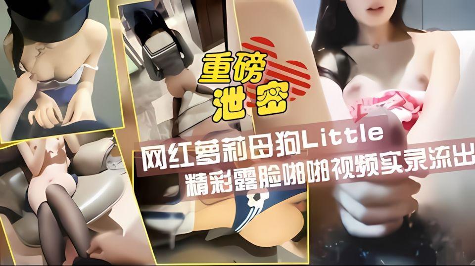 极品萝莉Little粉嫩美乳各种情趣装露脸实拍流出