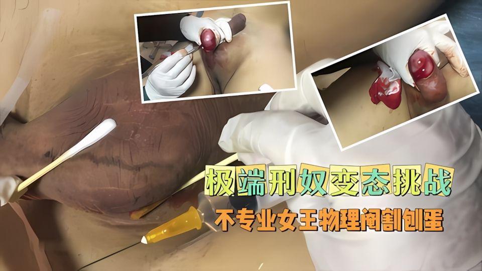 极端刑奴变态挑战不专业女王物理阉割刨蛋