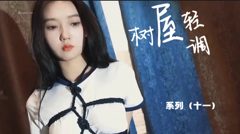 树屋轻调系列《11》