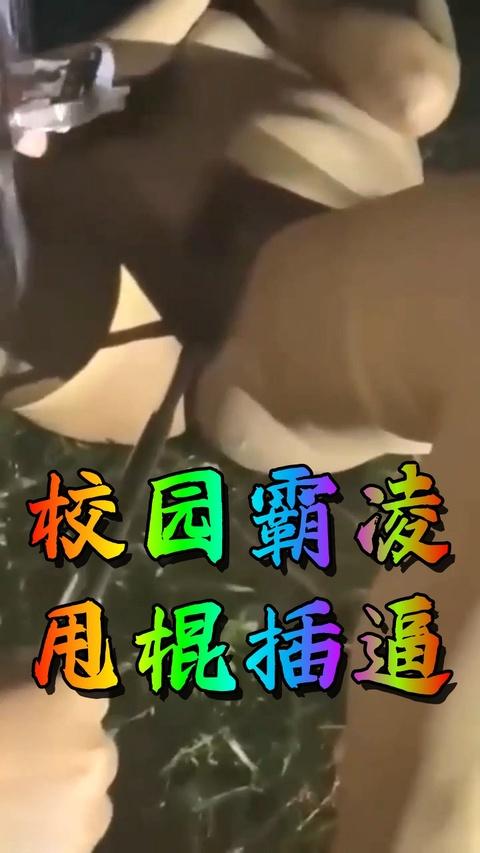 校园霸凌事件扒光甩棍插逼2