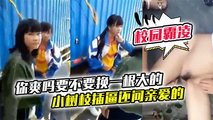校园霸凌老实同学把裤子强行脱了用小树枝插逼还问亲爱的你爽吗要不要换一根大的
