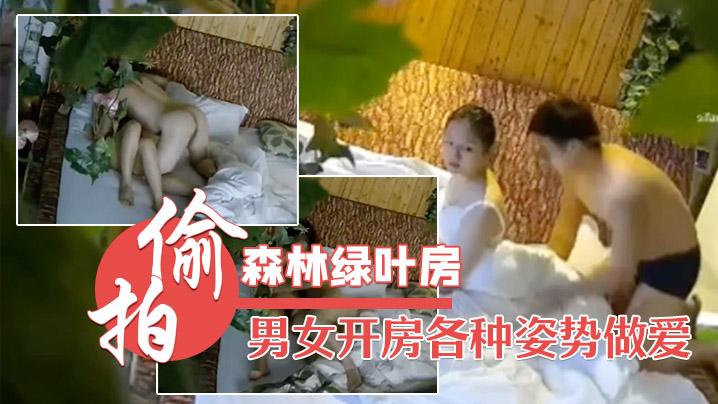 森林绿叶房高清偷拍两对男女开房各种姿势做爱